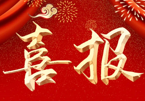 蘇中建設(shè)榮列2022中國(guó)企業(yè)500強(qiáng)第393位